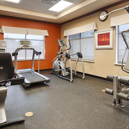 Best Western Plus Flatonia Inn Luaran gambar